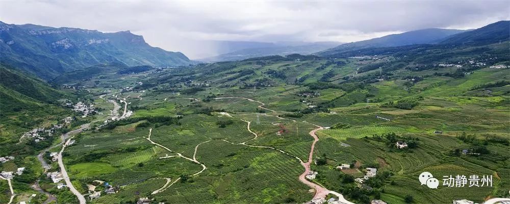 黄练山农业